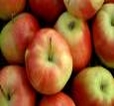 MedlinePlus Medical Encyclopedia: Day care health risksDay care health risks ... Children in day care centers are often around otherchildren who may be sick. Therefore, children in day care are more likely to ...
